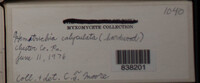Image Associated With the Occurence